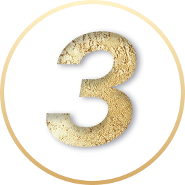 Professionals Number 3 Icon