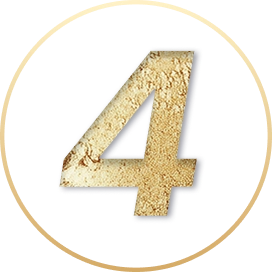 Professionals Number 4 Icon