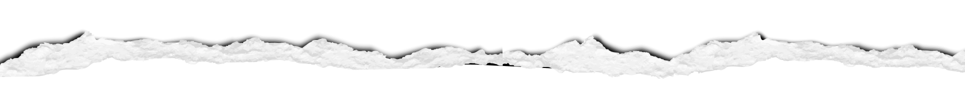Divider Image